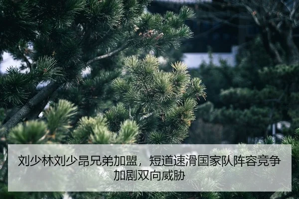 liu-shao-lin-liu-shao-ang-xiong-di-jia-meng-duan-dao-su-hua-guo-jia-dui-zhen-rong-jing-zheng-jia-ju-shuang-xiang-wei-xie-2-276.jpg
