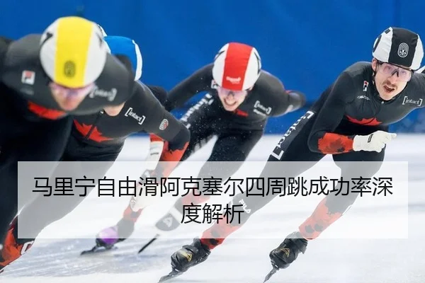 ma-li-ning-zi-you-hua-a-ke-sai-er-si-zhou-tiao-cheng-gong-lv-shen-du-jie-xi-2-648.jpg